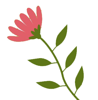 Ikastetxeko Hezkuntza Proiektua